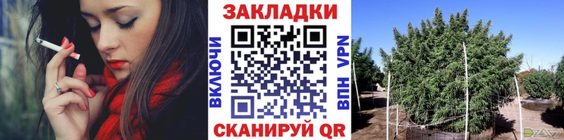 A-PVP Перевоз