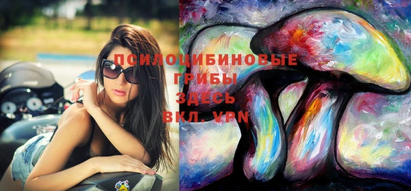 синтетический гашиш Алексеевка